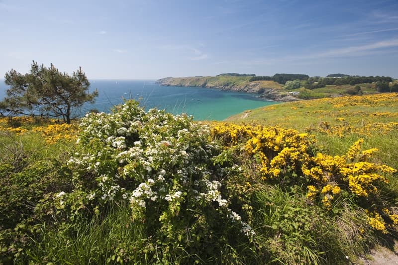 Office de Tourisme de Belle-Ile-en-Mer