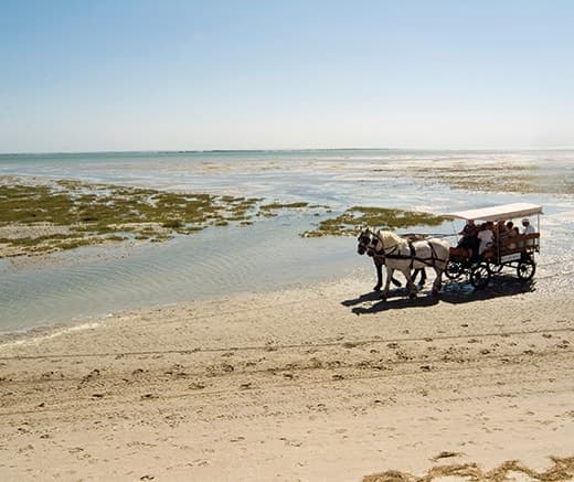 Cap-Hornu Hôtel*** & Restaurant, Destination Baie de Somme