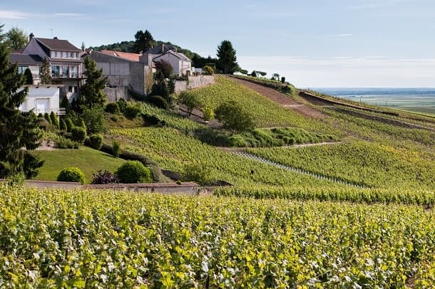 Champagne Convention Bureau