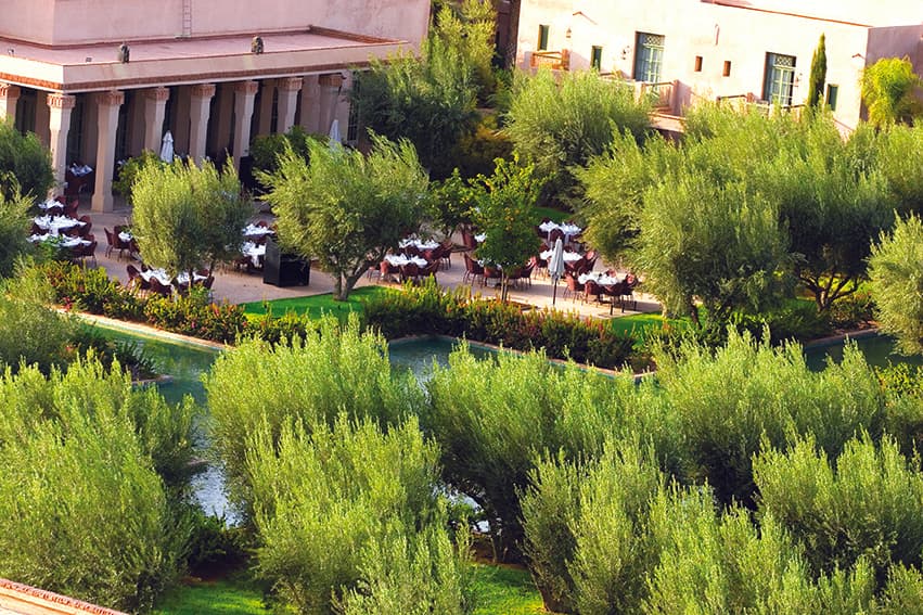 Club Med Marrakech La Palmeraie