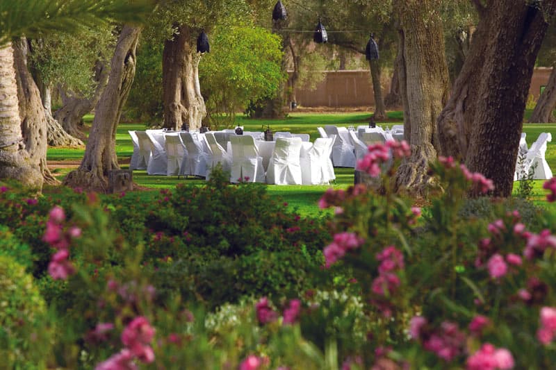 Club Med Marrakech La Palmeraie