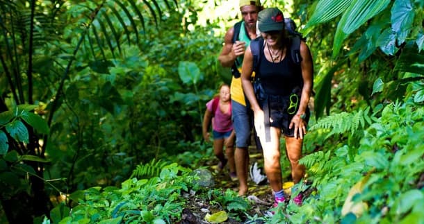 Comité Martiniquais du Tourisme