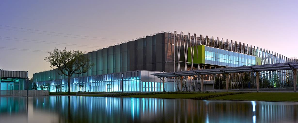 Exponantes