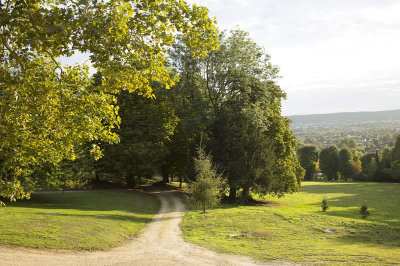 La Clairière de la Reine