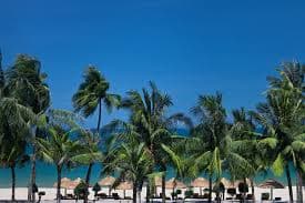 Phoenix Voyages Group Vietnam
