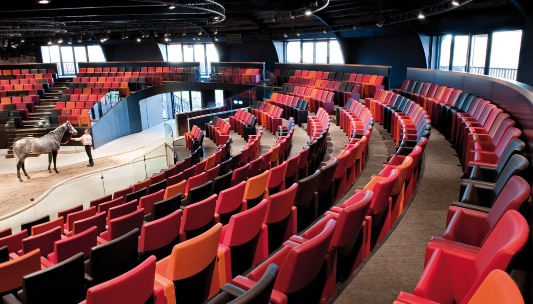 Arqana