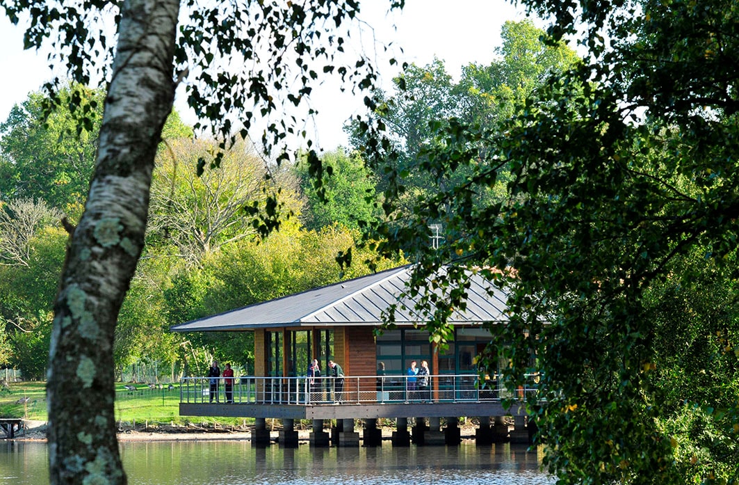 Azureva Sainte-Montaine en Sologne