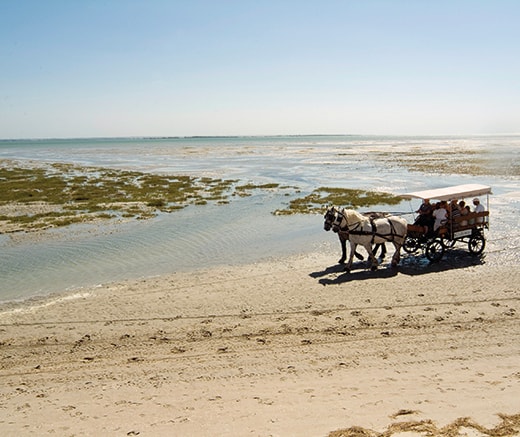 Cap-Hornu Hôtel*** & Restaurant, Destination Baie de Somme