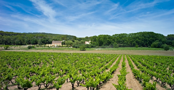 Château Mentone