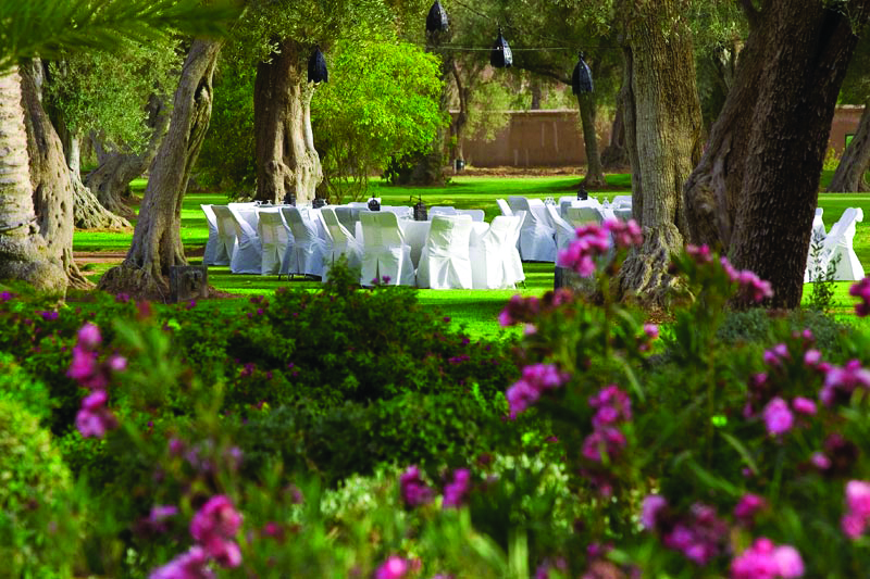 Club Med Marrakech La Palmeraie