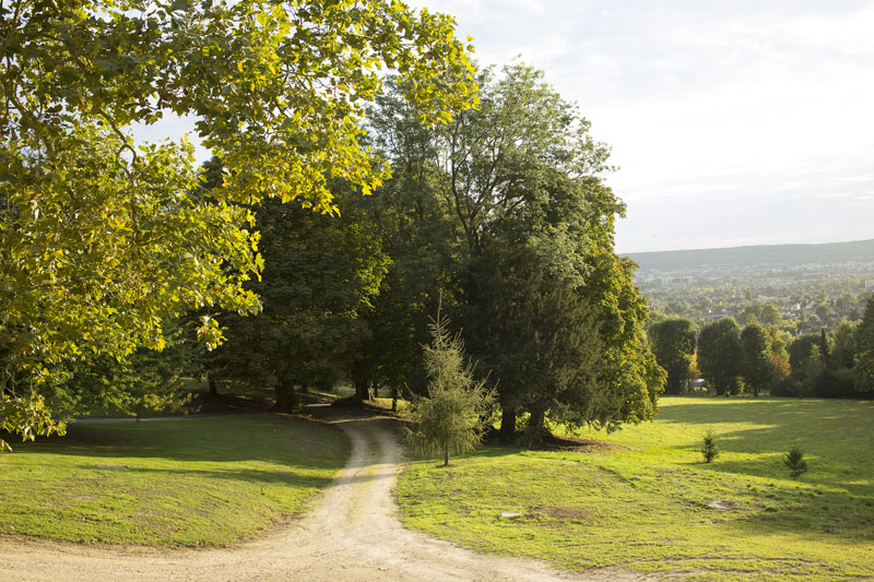 La Clairière de la Reine