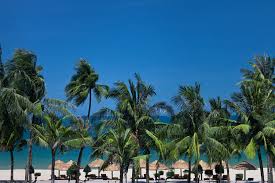Phoenix Voyages Group Vietnam